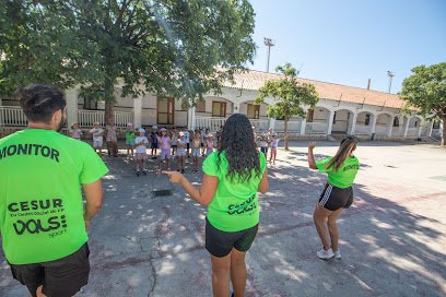 Campamento de Verano Vals Sport Ave María