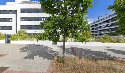Pista de pádel