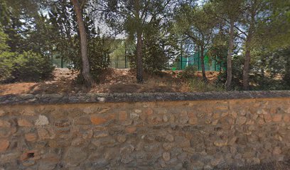 ESCUELA DE PÁDEL BORJA GUILLEM