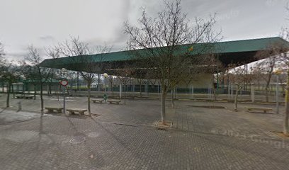Pistas de Pádel