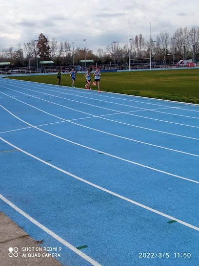Pistas de Atletismo de Talavera